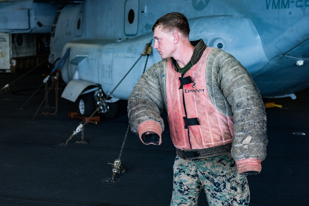 Jack-Jack bites back: Marines with the 31st MEU participate in bite drills