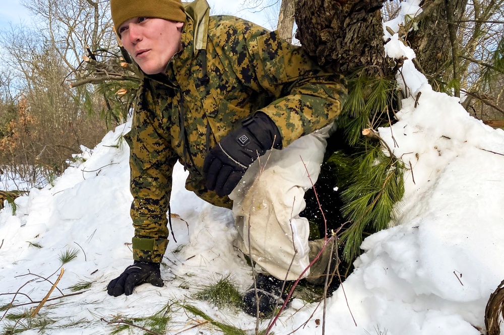 Soldiers and Marines attend Cold Weather Operations Course