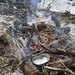 Soldiers and Marines attend Cold Weather Operations Course