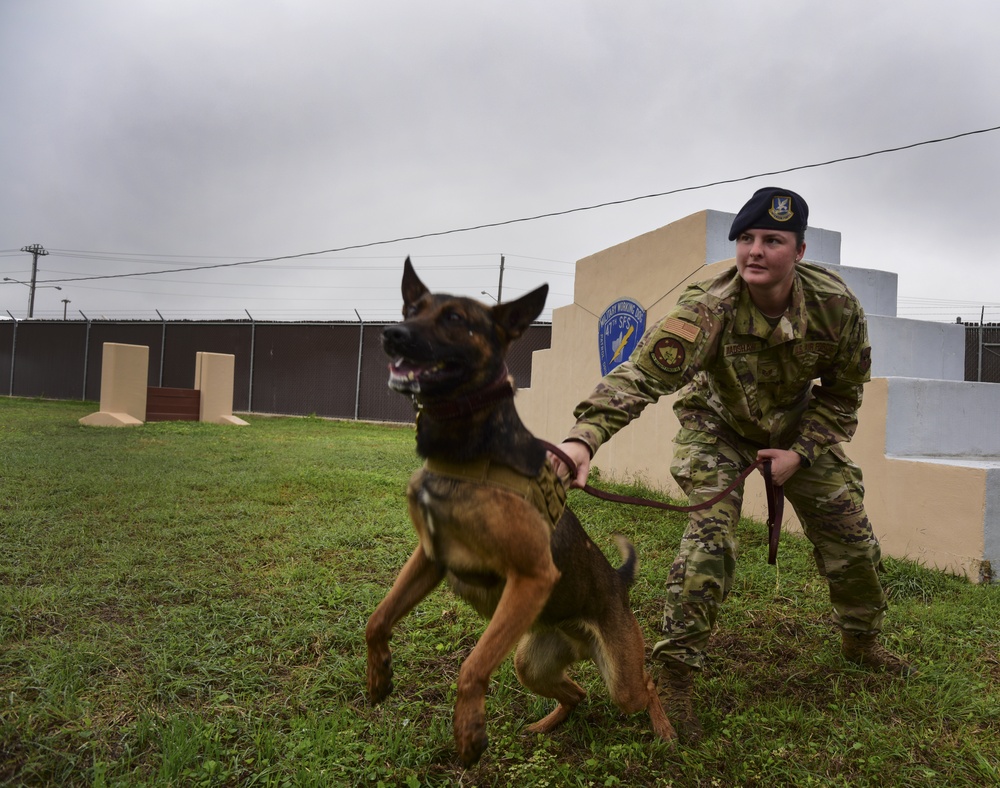 Laughlin military working dog handler talks about building respect
