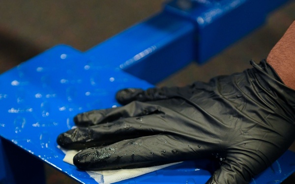 TLR COVID-19 response