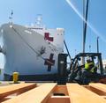 U.S. Navy Hospital Ships COVID-19