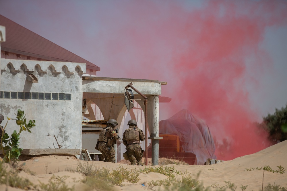 Training on small unit tactics at Flintlock 20