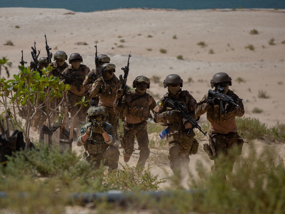 Training on small unit tactics at Flintlock 20