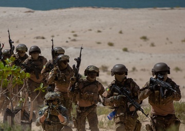 Training on small unit tactics at Flintlock 20