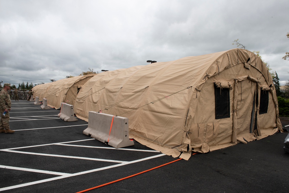 Travis sets up screening tents