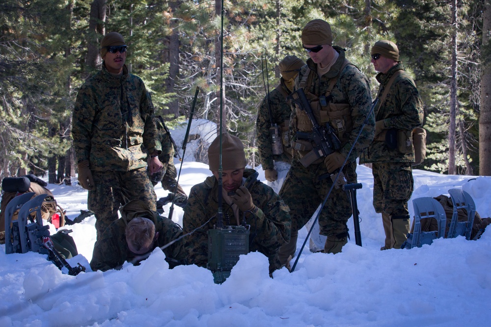 The Sounds of the Hell Hounds at MTX 2-20