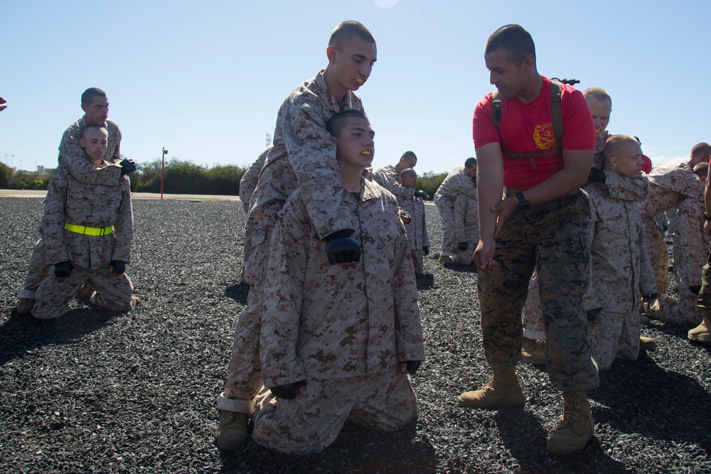 Charlie Company MCMAP