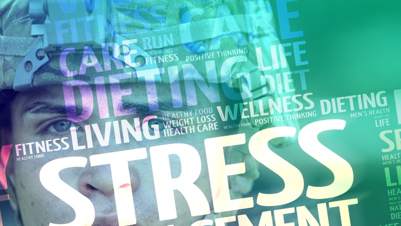 Stress: Its Effect and What You Can Do