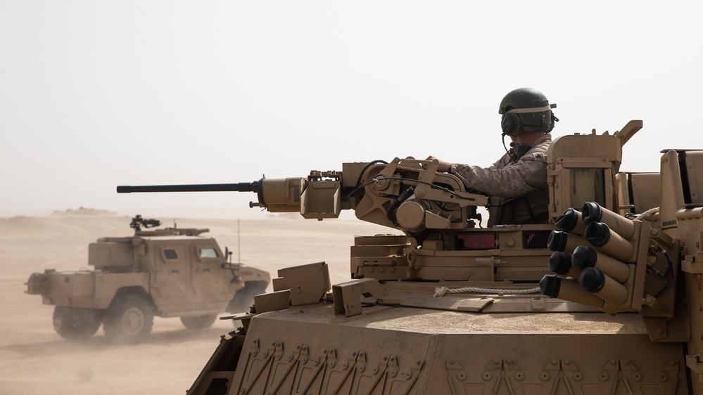 U.S. Marines Conduct Minefield Clearing Operations During Native Fury 20
