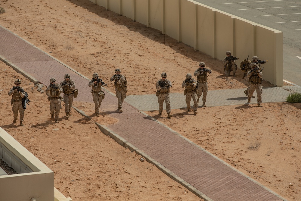 Bilateral Urban Operations Assault Demonstration during Exercise Native Fury 20