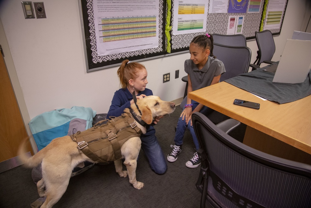 Pawdcast: Bitz fifth graders create podcast on military working dogs for national challenge