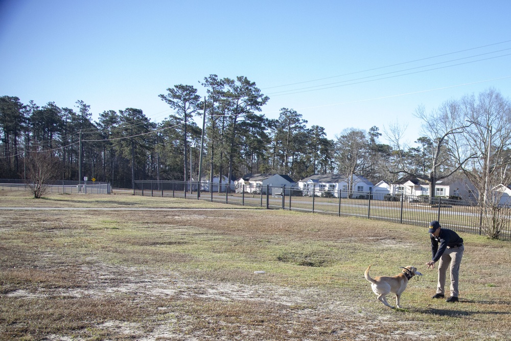 Pawdcast: Bitz fifth graders create podcast on military working dogs for national challenge