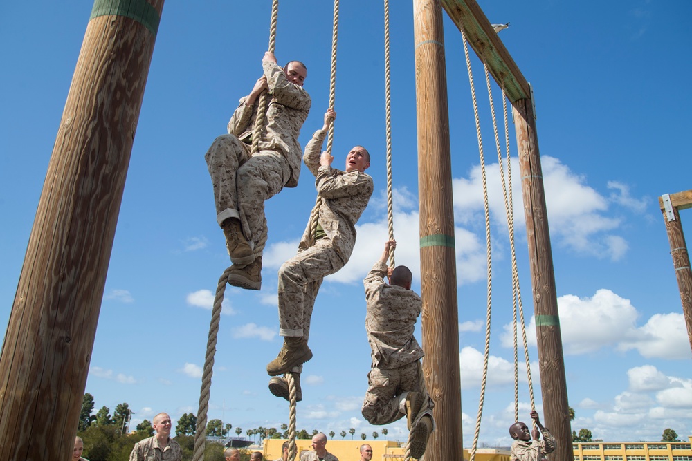 Fox Company Obstacle Course