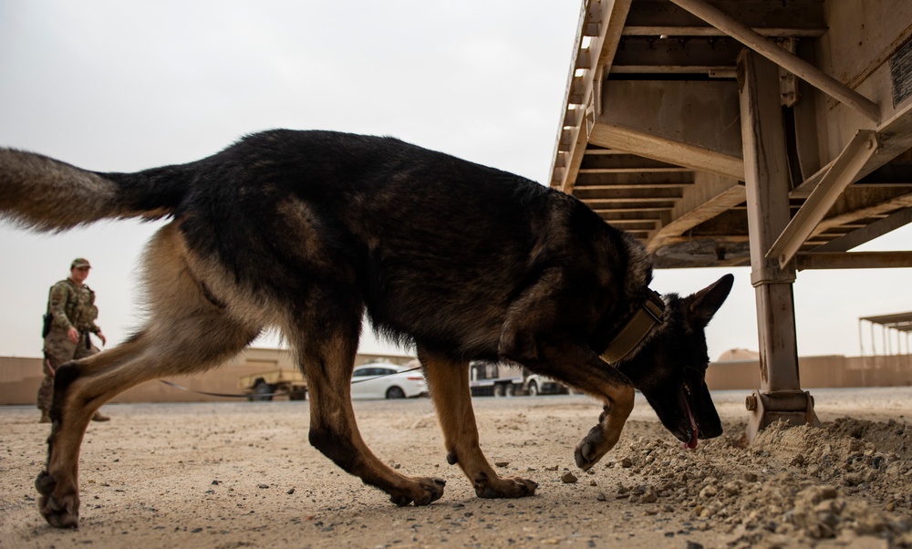 K-9, EOD, Fire perform joint training at ASAB