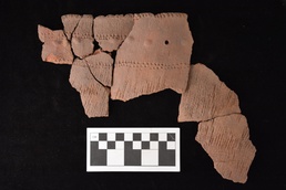 Fort McCoy ArtiFACT: Naples stamped sherds