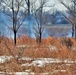 Fort McCoy personnel complete 2020’s first prescribed burns