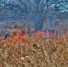 Fort McCoy personnel complete 2020’s first prescribed burns