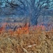 Fort McCoy personnel complete 2020’s first prescribed burns