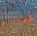 Fort McCoy personnel complete 2020’s first prescribed burns