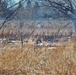 Fort McCoy personnel complete 2020’s first prescribed burns