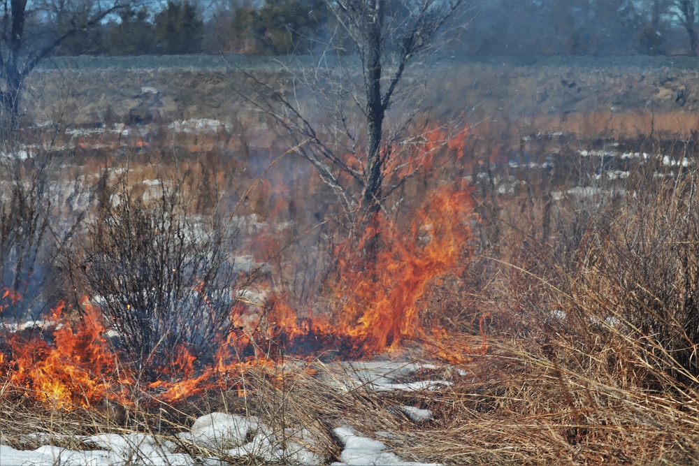 Fort McCoy personnel complete 2020’s first prescribed burns