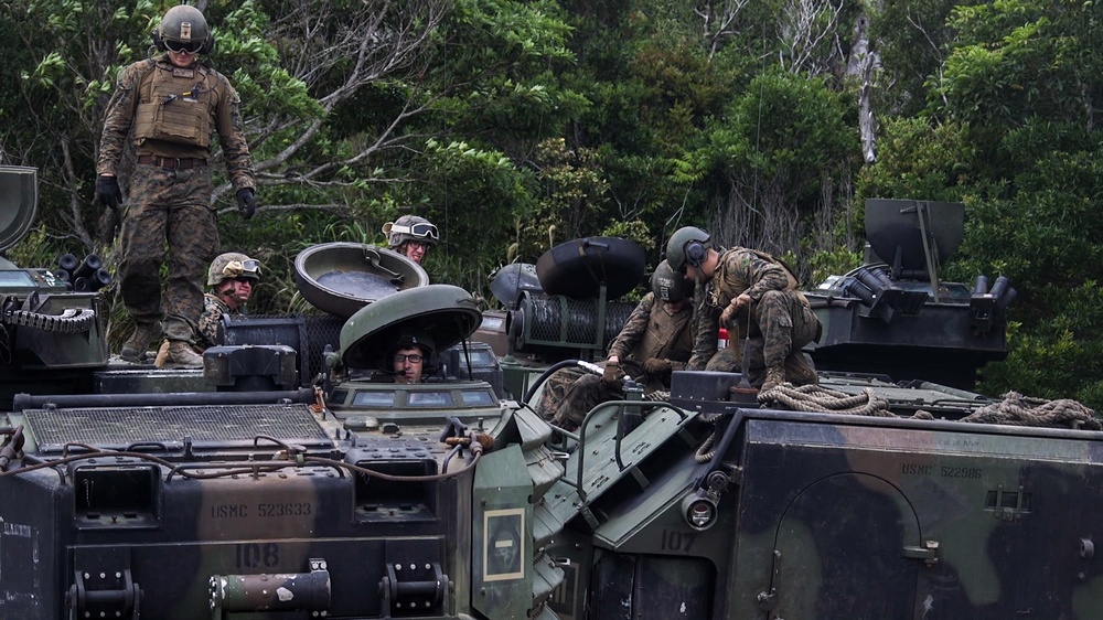 31st MEU conducts AAV Forward Arming and Refueling Point