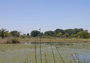 Corps to Receive All Regulatory Submissions Electronically