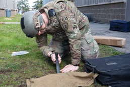 Know Your Army: Explosive Ordnance Disposal Technician