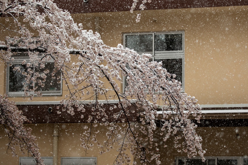 Snow Day at Yokota