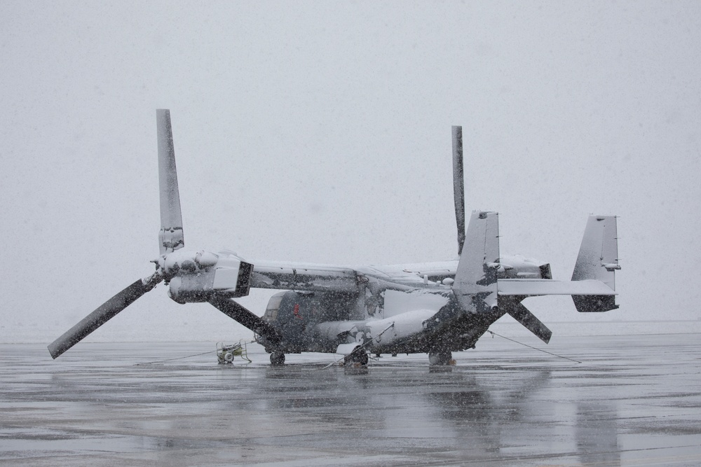 Snow Day at Yokota