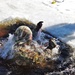 CWOC Class 20-04 students complete cold-water immersion training at Fort McCoy