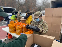 NY National Guard responds for Operation COVID-19 across New York City