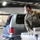 Three U.S. Army soldiers wearing camouflage uniforms and face masks are loading food supplies into the back of a silver Ford SUV inside a warehouse facility. The soldiers appear to be participating in a food distribution operation, handling canned goods and boxed items. The setting suggests a community food bank or emergency relief distribution effort.