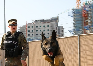 A Soldiers Best Friend During the Stop Move Directive