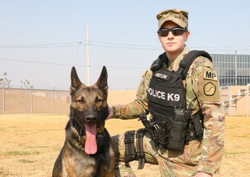 A Soldiers Best Friend During the Stop Move Directive