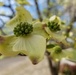 Spring Brings Signs of Spiritual Resiliency