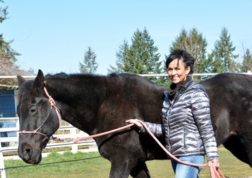 Equine Therapy