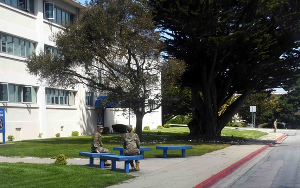 Social distancing at play