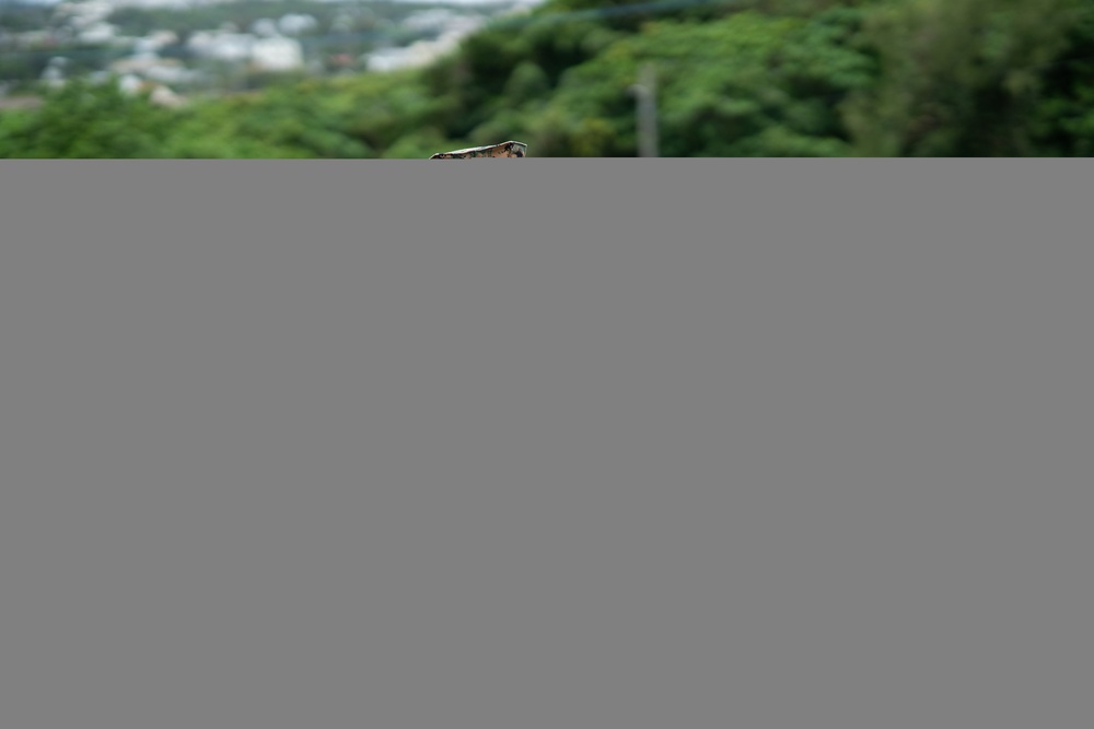 Non-Commissioned Officers Promotion