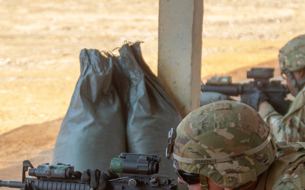 HG20 TF Cacti Staff Marksmanship