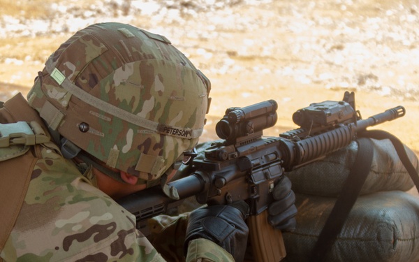 HG20 TF Cacti Staff Marksmanship