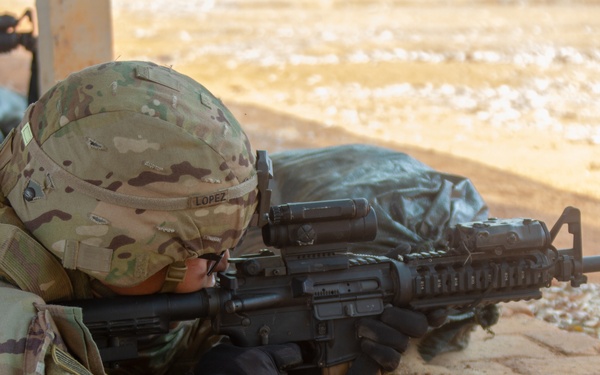 HG20 TF Cacti Staff Marksmanship