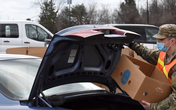 Michigan National Guard assist around 400 families during COVID-19 response