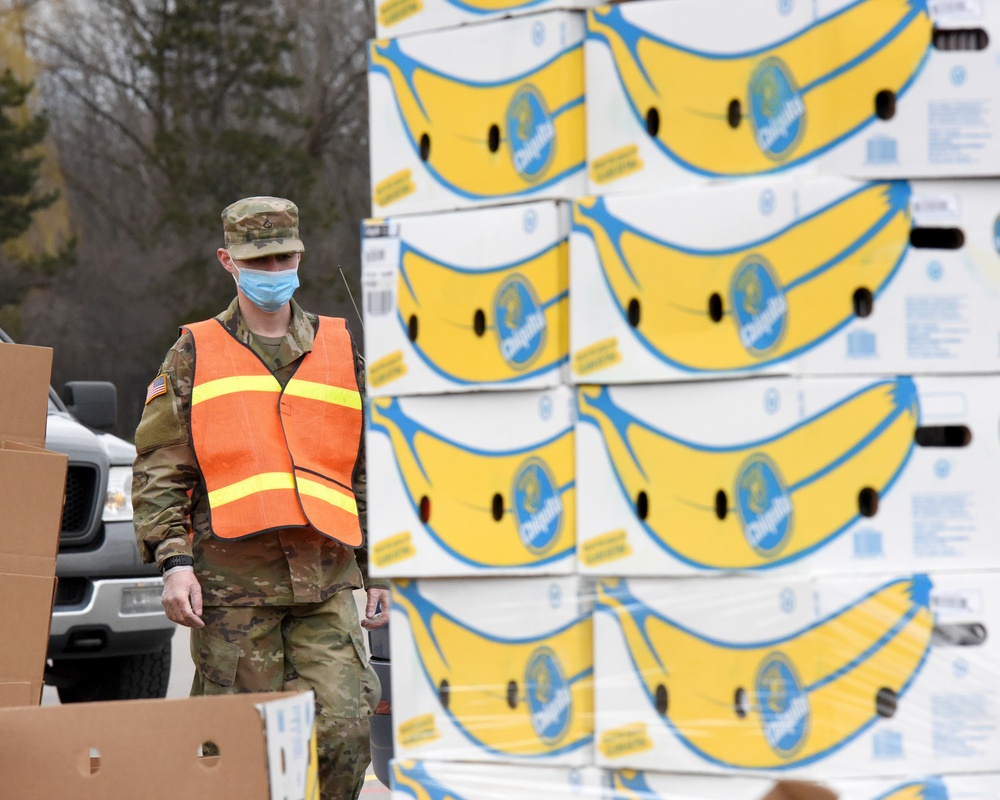 Michigan National Guard assist around 400 families during COVID-19 response