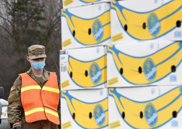 Michigan National Guard assist around 400 families during COVID-19 response