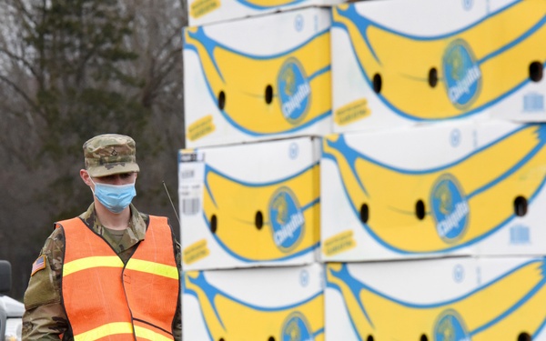 Michigan National Guard assist around 400 families during COVID-19 response