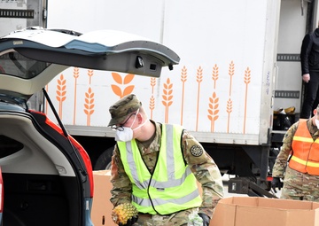 Michigan National Guard assist around 400 families during COVID-19 response