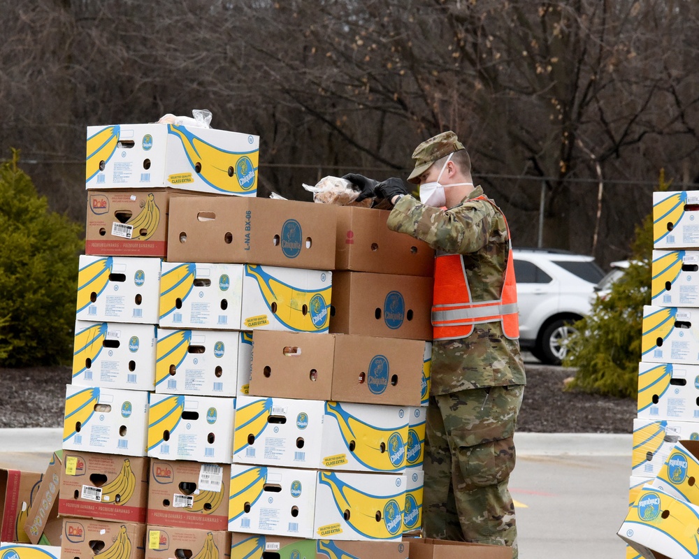 Michigan National Guard assist around 400 families during COVID-19 response