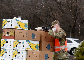 Michigan National Guard assist around 400 families during COVID-19 response